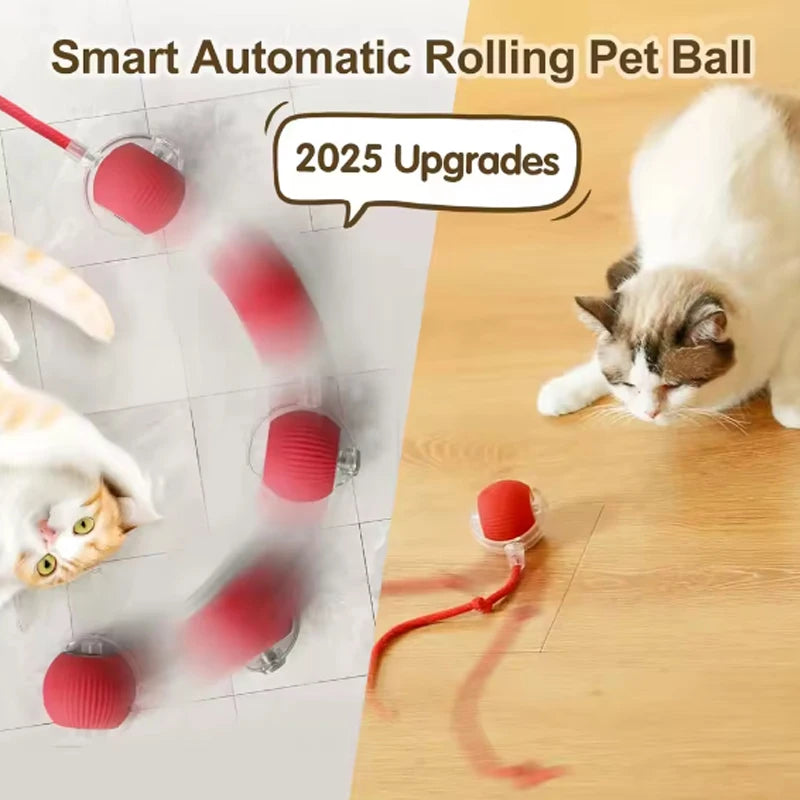 Smart Interactive Cat Ball - Self-Rolling Automatic Play Toy