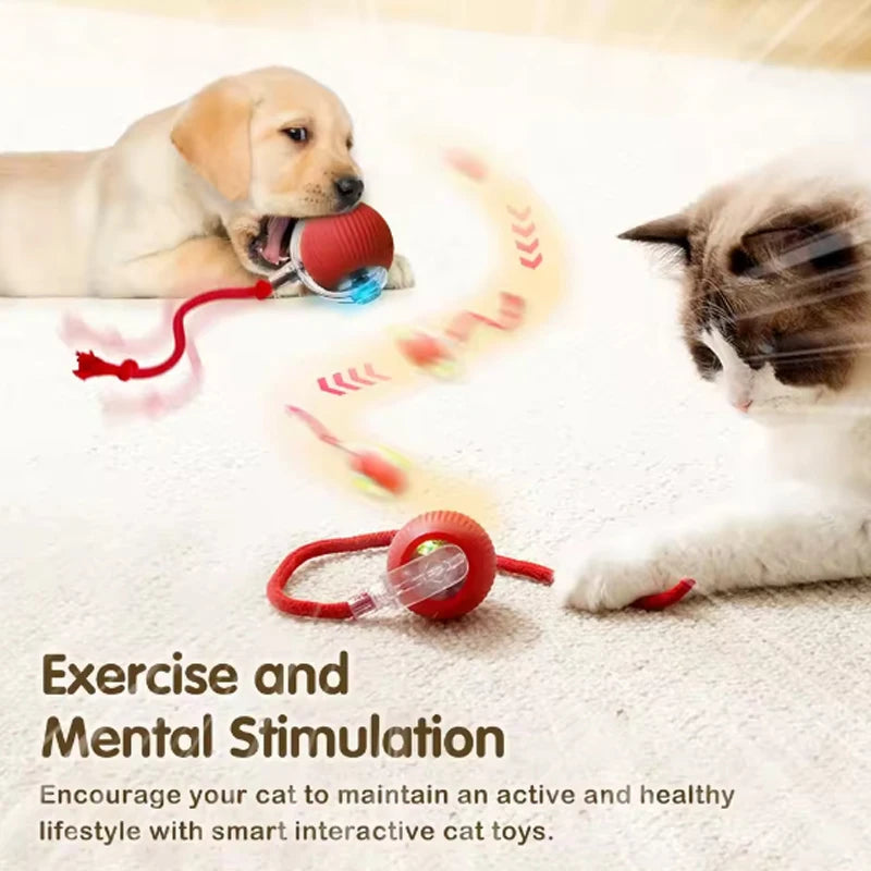 Smart Interactive Cat Ball - Self-Rolling Automatic Play Toy