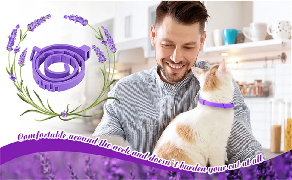 Pet Calming Collar For Cats Dogs Adjustable.