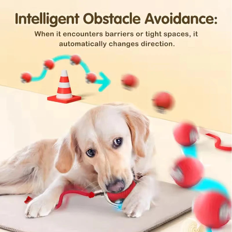 Smart Interactive Cat Ball - Self-Rolling Automatic Play Toy